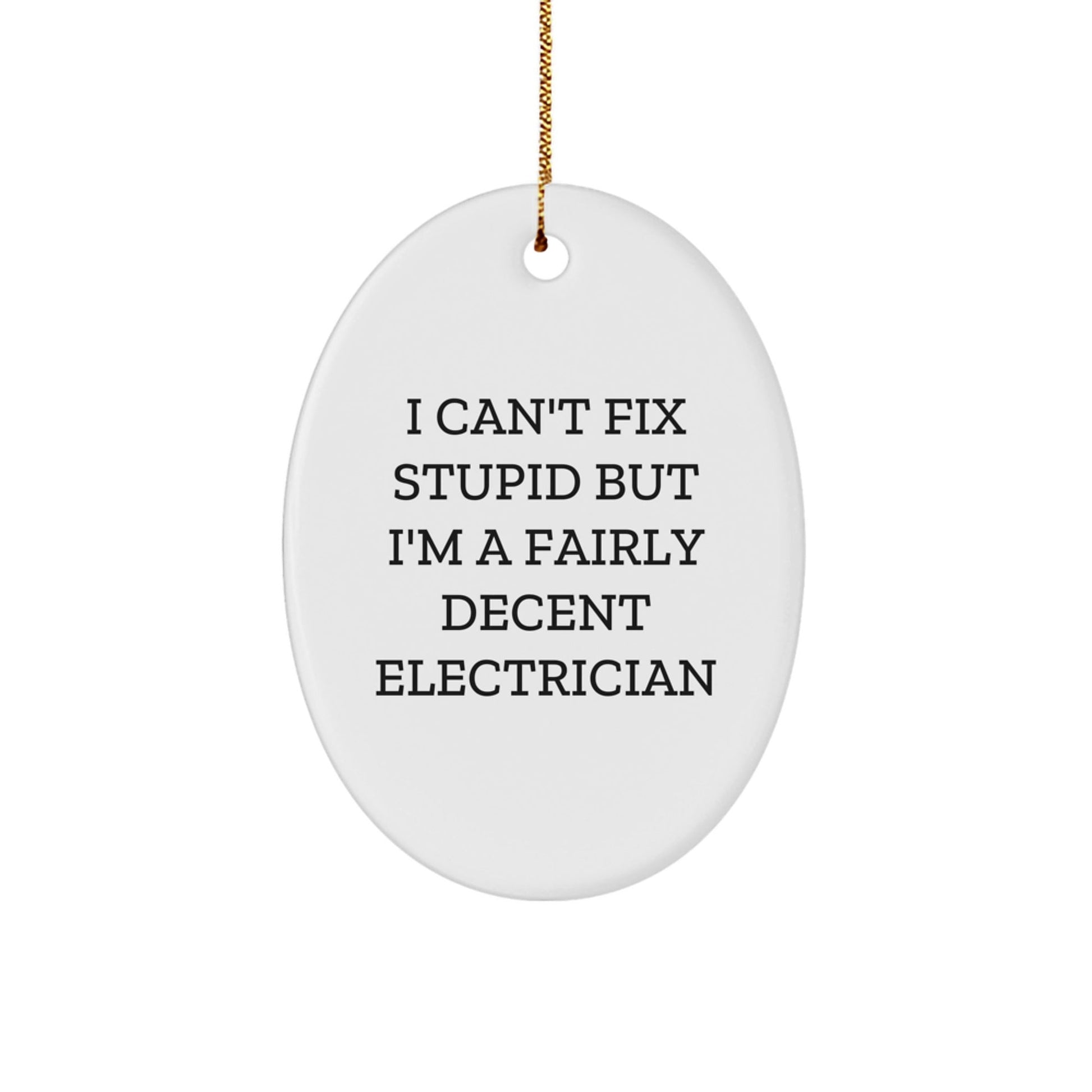 Funny Electrician Gifts from Men, Personalized Oval Ornament for Electrician Friends, I 'Can't Fix Stupid' Christmas Unique Gifts - The Buy Boom