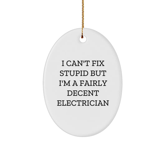 Funny Electrician Gifts from Men, Personalized Oval Ornament for Electrician Friends, I 'Can't Fix Stupid' Christmas Unique Gifts - The Buy Boom