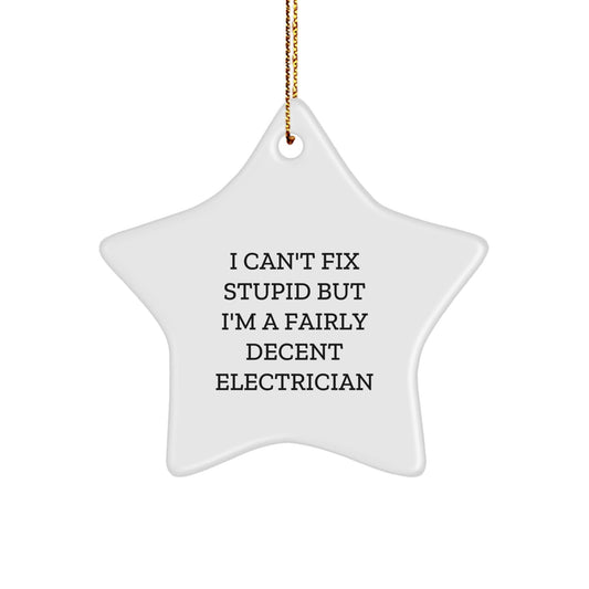 Funny Electrician Star Ornament Gifts from Friends and Family for Electrician Christmas Unique Decorations I Can't Fix Stupid - The Buy Boom