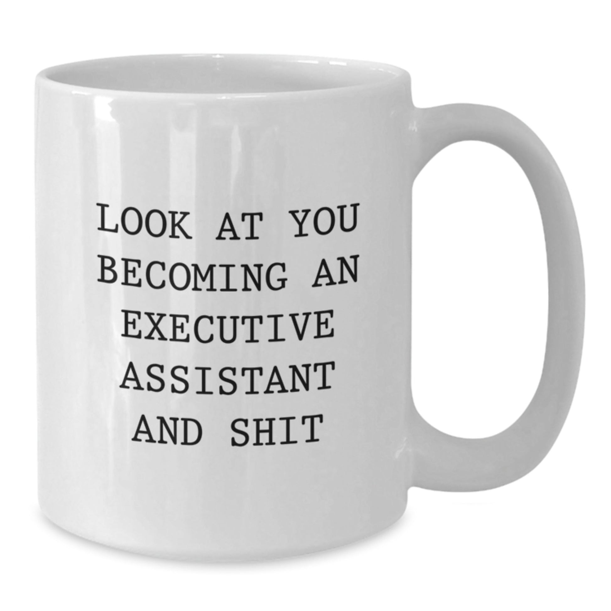 Funny Executive Assistant Gifts for Him or Her - White Coffee Mug, Look At You Becoming An Executive Assistant And Shit, Gifts from Friends and Family this Christmas - The Buy Boom