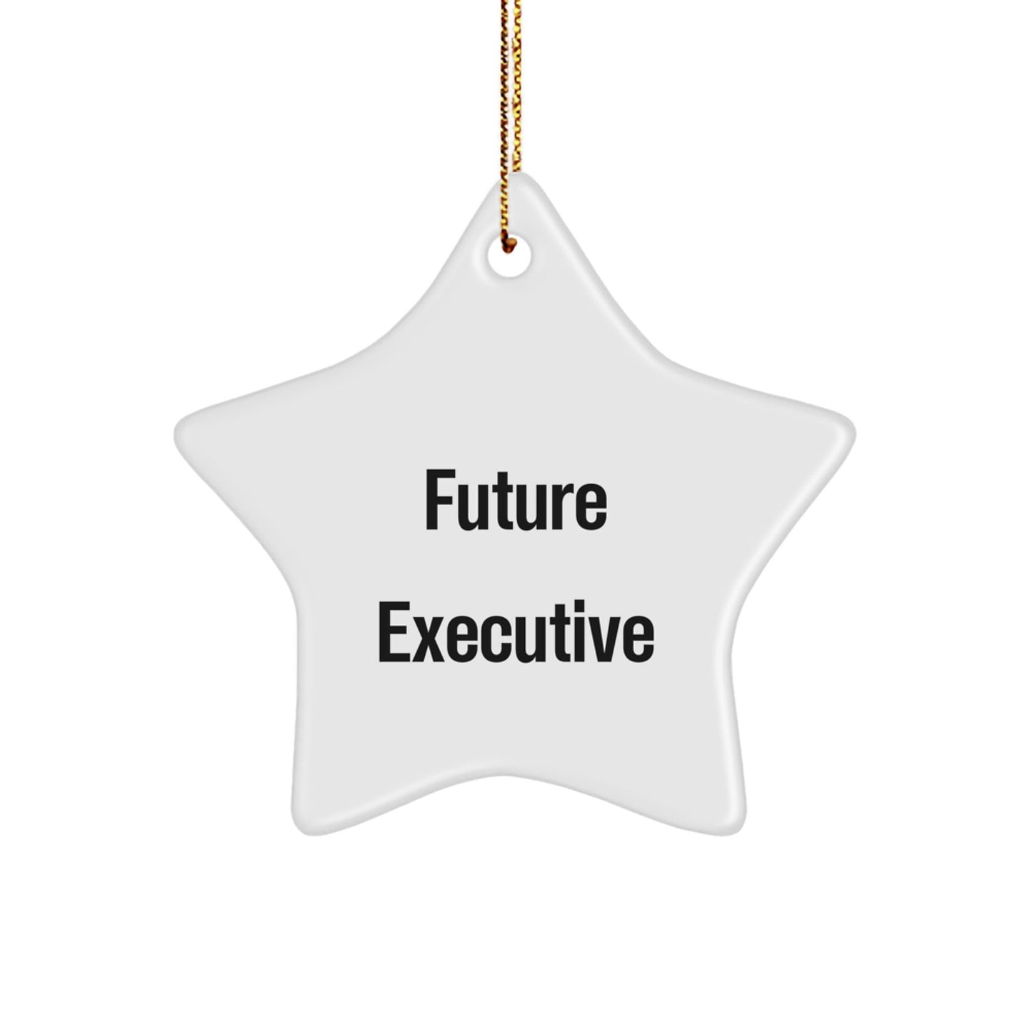 Funny Executive Gifts from Friends, Star Ornament for Office Decor, Future Executive Quote, Christmas Unique Gifts for Men - The Buy Boom