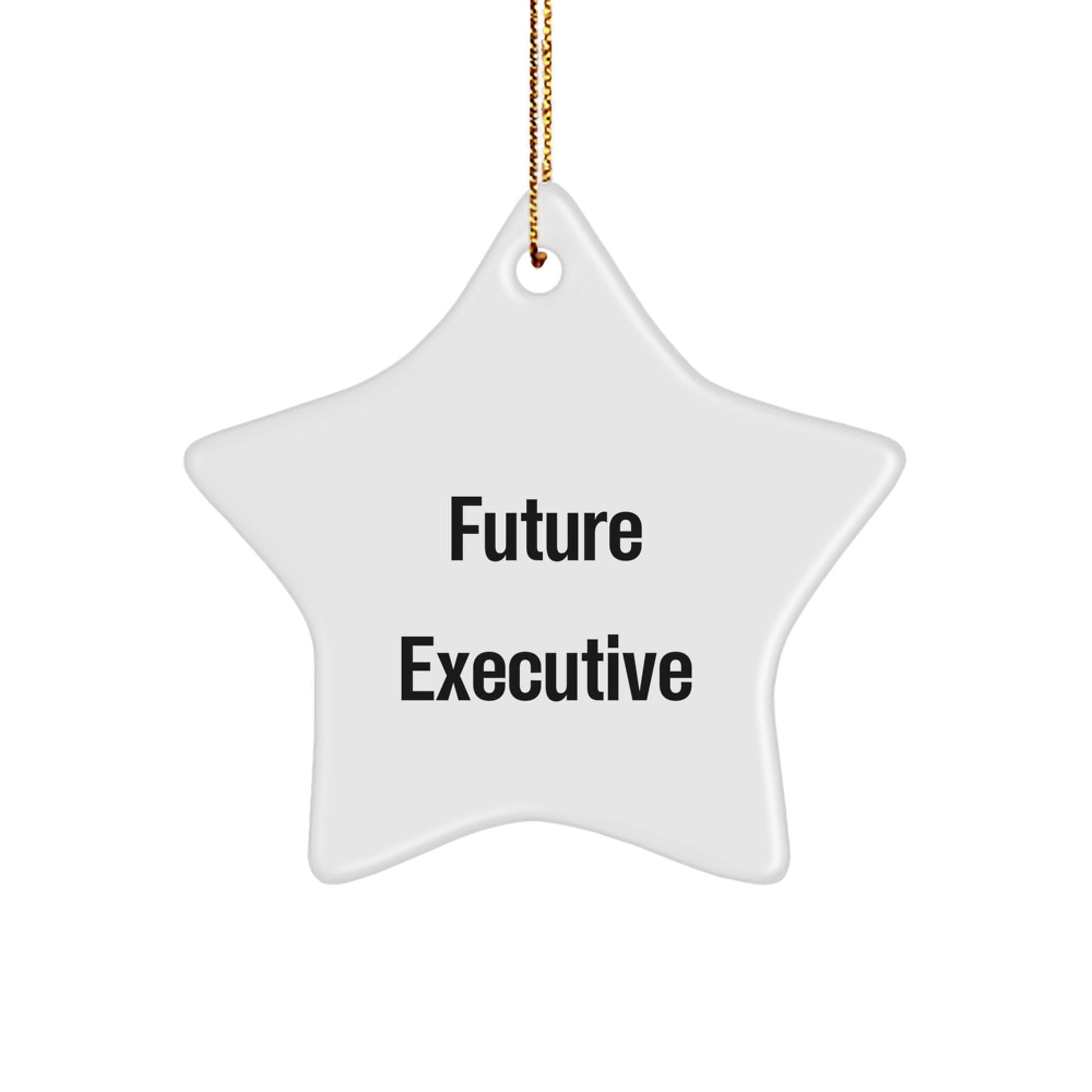 Funny Executive Gifts from Friends, Star Ornament for Office Decor, Future Executive Quote, Christmas Unique Gifts for Men - The Buy Boom