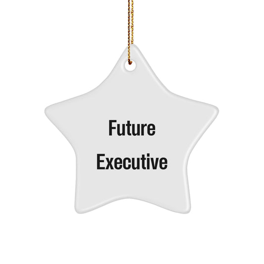 Funny Executive Gifts from Friends, Star Ornament for Office Decor, Future Executive Quote, Christmas Unique Gifts for Men - The Buy Boom