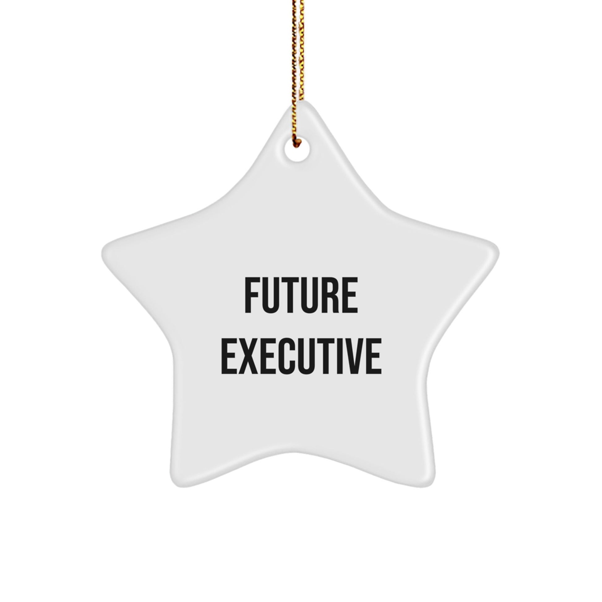 Funny Executive Gifts from Men to Future Executives Star Ornament for Christmas Unique Gifts, Inspirational Quote Executive Star Decoration for Home Office Desk - The Buy Boom