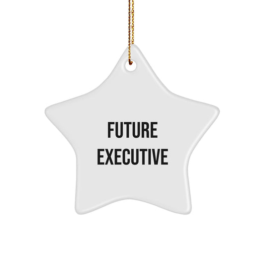 Funny Executive Gifts from Men to Future Executives Star Ornament for Christmas Unique Gifts, Inspirational Quote Executive Star Decoration for Home Office Desk - The Buy Boom
