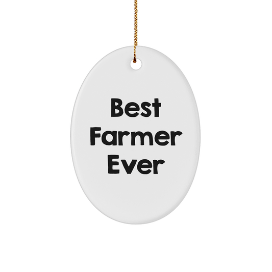 Funny Farmer Gifts from Friends - Best Farmer Ever Oval Ornament for Christmas Unique Gifts - The Buy Boom