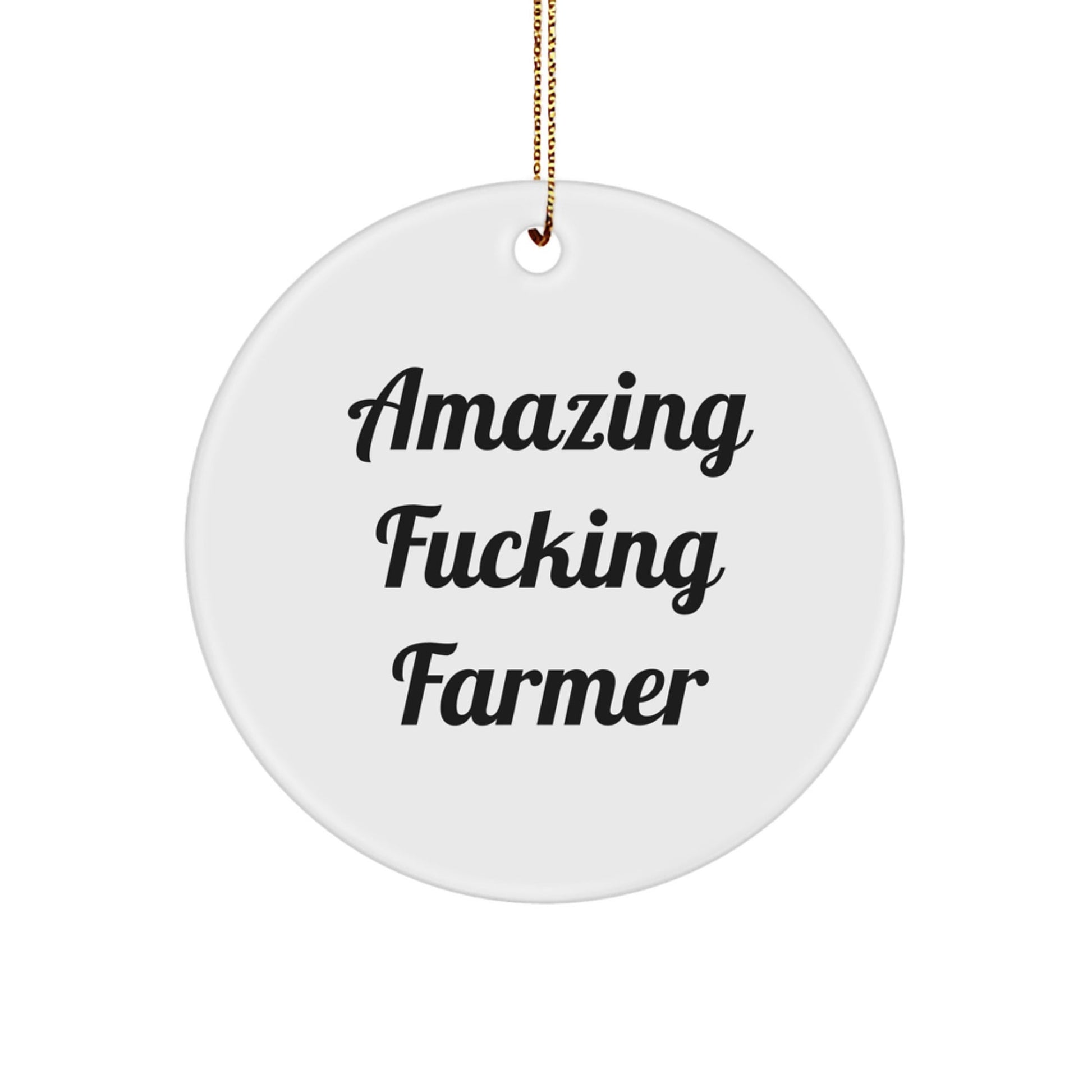 Funny Farmer Gifts from Friends for Christmas - 'Amazing F - king Farmer' Circle Ornament - The Buy Boom