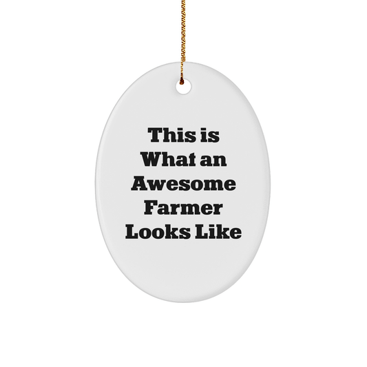 Funny Farmer Gifts from Friends - This Is What An Awesome Farmer Looks Like Oval Ornament for Christmas - The Buy Boom
