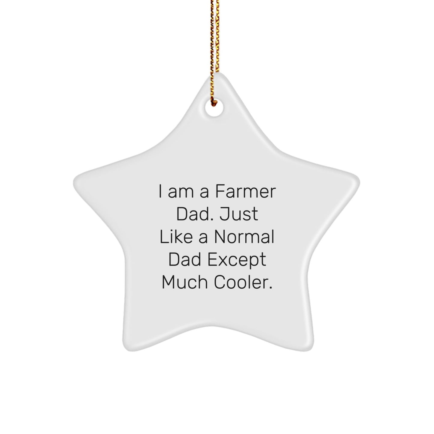 Funny Farmer Gifts from Men to Friends - Christmas Unique Star Ornament for Farmer Dad Home Decor - The Buy Boom