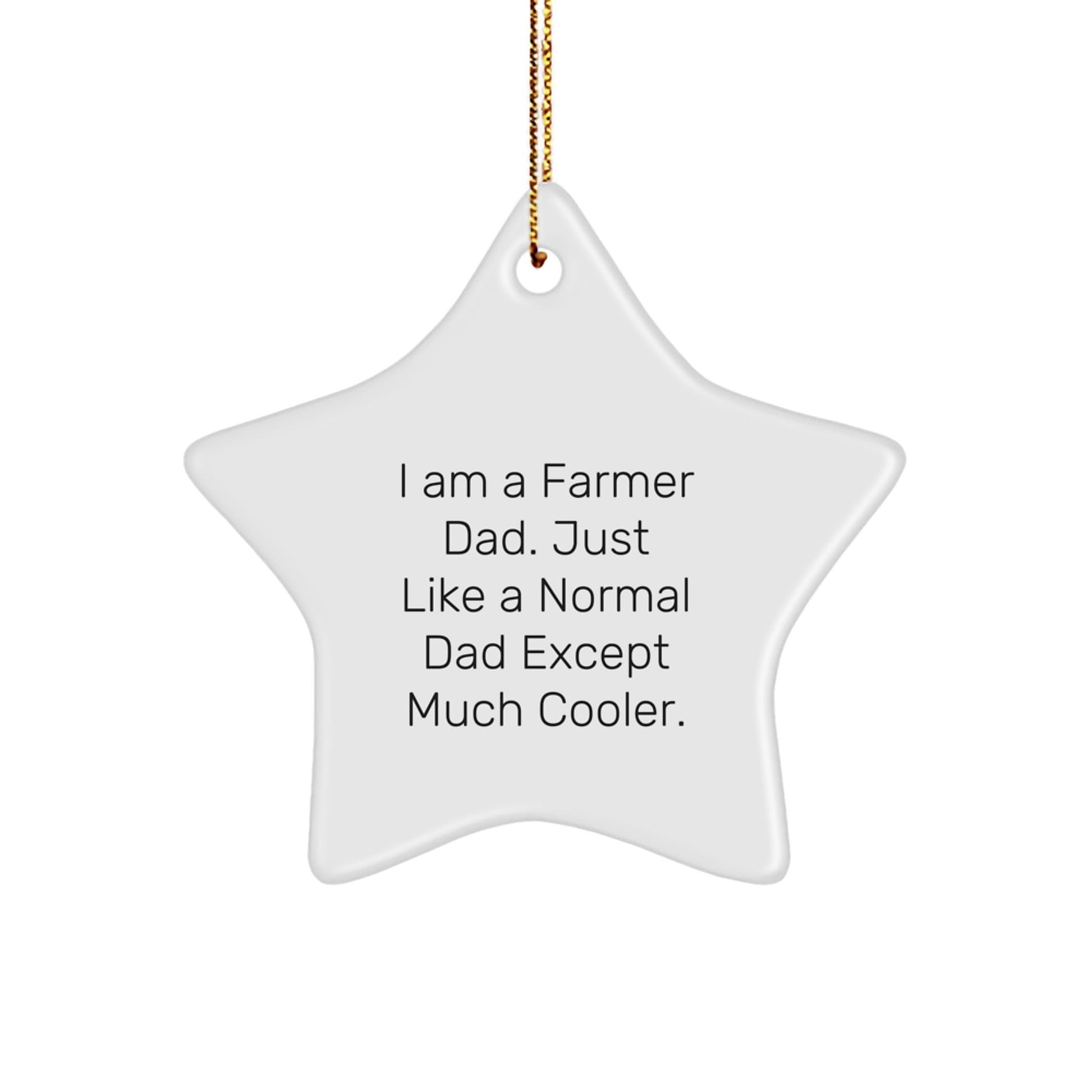 Funny Farmer Gifts from Men to Friends - Christmas Unique Star Ornament for Farmer Dad Home Decor - The Buy Boom