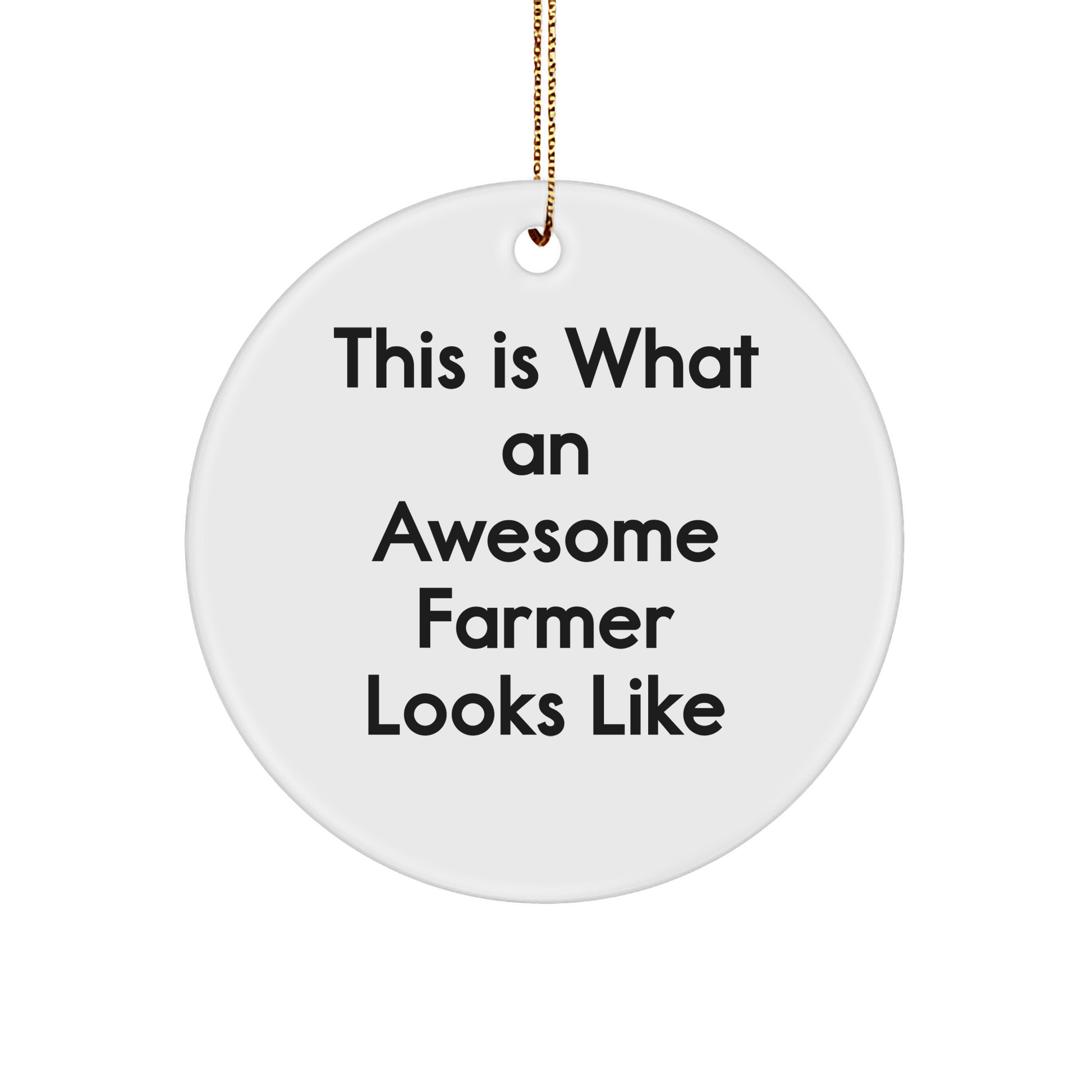 Funny Farmer Gifts - 'This Is What An Awesome Farmer Looks Like' Circle Ornament, White, Christmas Unique Gifts from Men to Farmer - The Buy Boom