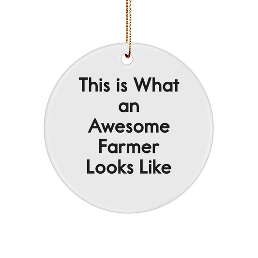 Funny Farmer Gifts - 'This Is What An Awesome Farmer Looks Like' Circle Ornament, White, Christmas Unique Gifts from Men to Farmer - The Buy Boom