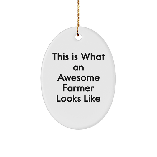 Funny Farmer Gifts This Is What An Awesome Farmer Looks Like Oval Ornament Gifts from Family to Farmer for Christmas - The Buy Boom