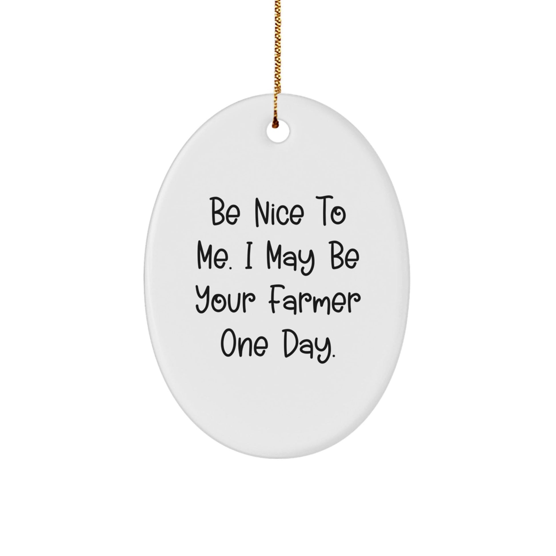 Funny Farmer Oval Ornament Gifts from Friends for Farmer Men with Be Nice To Me. I May Be Your Farmer One Day. Christmas Unique Gifts - The Buy Boom