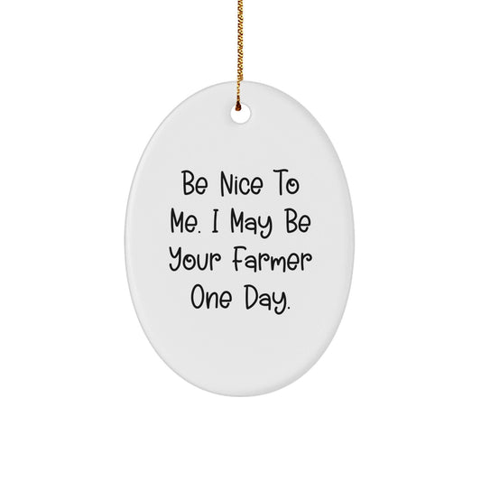 Funny Farmer Oval Ornament Gifts from Friends for Farmer Men with Be Nice To Me. I May Be Your Farmer One Day. Christmas Unique Gifts - The Buy Boom