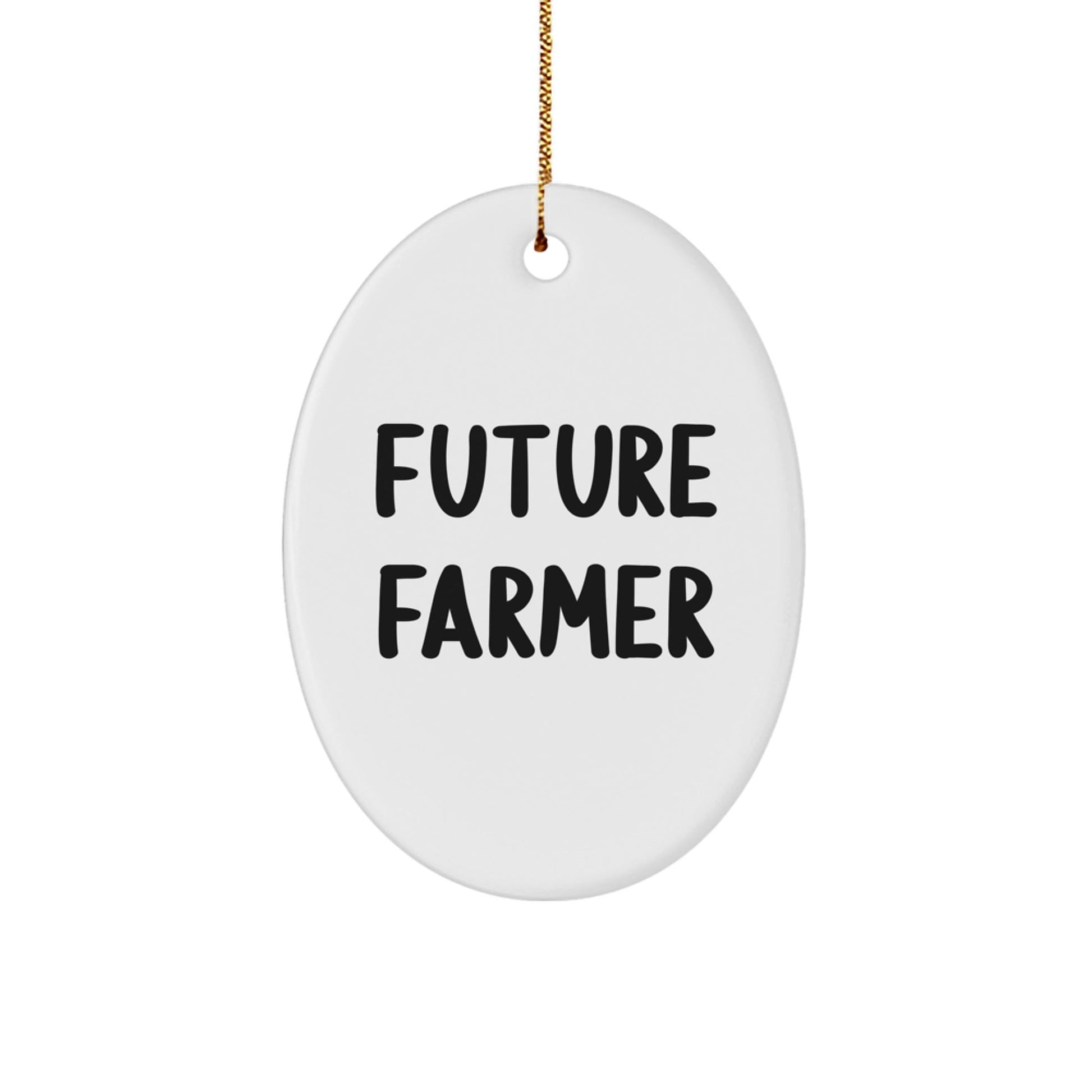 Funny Farmer Oval Ornament, Gifts from Friends to Future Farmer, Christmas Unique Gifts for Farmer - The Buy Boom
