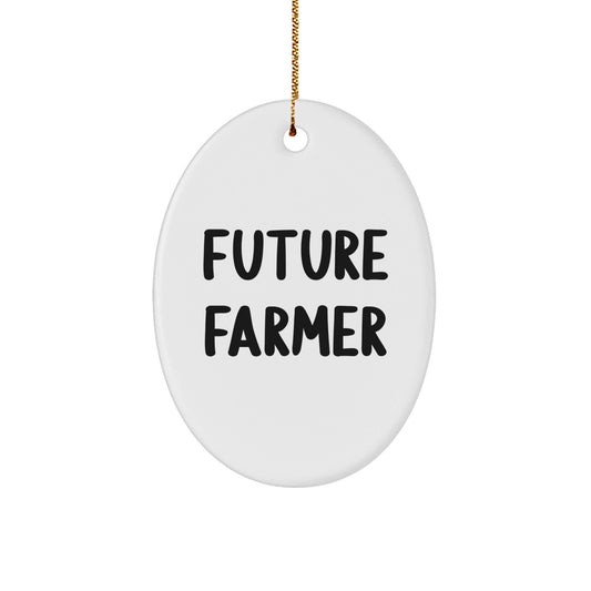 Funny Farmer Oval Ornament, Gifts from Friends to Future Farmer, Christmas Unique Gifts for Farmer - The Buy Boom