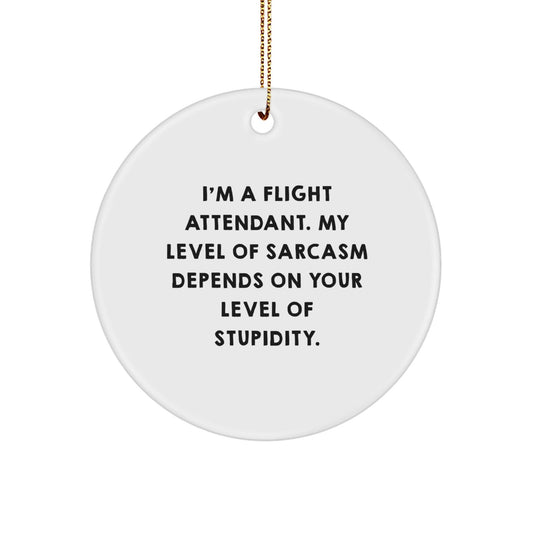 Funny Flight Attendant Gifts from Friends, Christmas Unique Circle Ornaments for Flight Attendant, I'm A Flight Attendant Sarcastic Humor - The Buy Boom