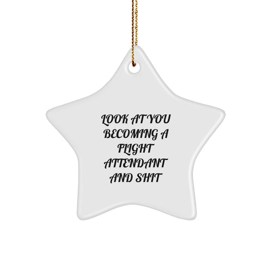 Funny Flight Attendant Gifts from Friends for Her - Star Ornament, Look At You Becoming A Flight Attendant And Shit, Christmas Unique Decorations - The Buy Boom