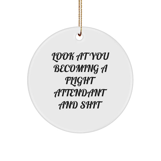 Funny Flight Attendant Ornaments for Christmas Unique Gifts from Friends to Flight Attendant Coworkers - The Buy Boom