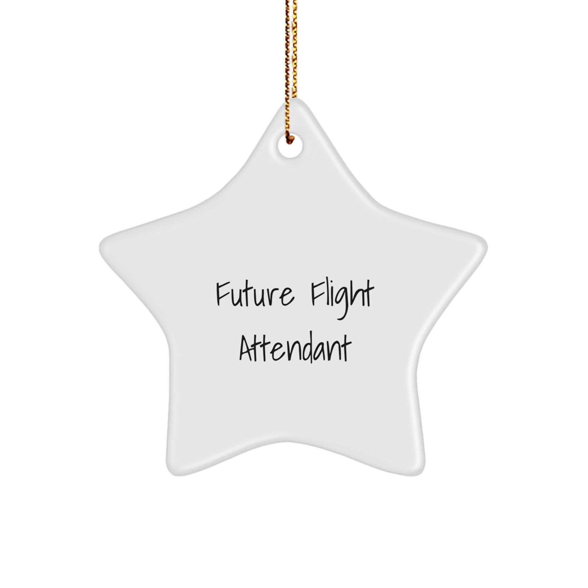 Funny Flight Attendant Star Ornament Gifts from Friends and Family for Future Flight Attendant Christmas Unique Gift - The Buy Boom