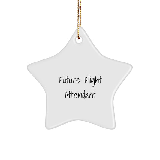 Funny Flight Attendant Star Ornament Gifts from Friends and Family for Future Flight Attendant Christmas Unique Gift - The Buy Boom