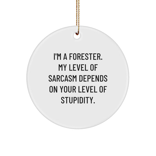 Funny Forester Circle Ornament, Gifts from Friends for Forester Men, Sarcasm Level Depends on Stupidity - Christmas Unique Gifts - The Buy Boom