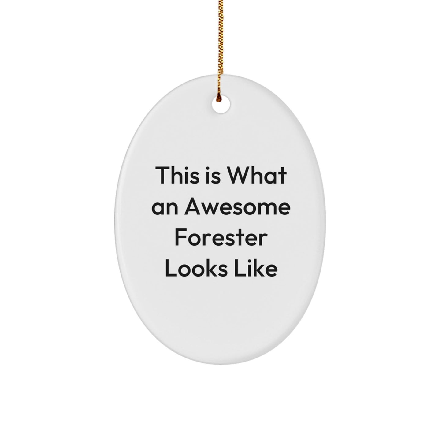 Funny Forester Gifts - This Is What An Awesome Forester Looks Like Oval Ornament for Men, Women, Friends, Coworkers, or Family, Christmas Unique Gifts from Friends, Coworkers, or Family - The Buy Boom