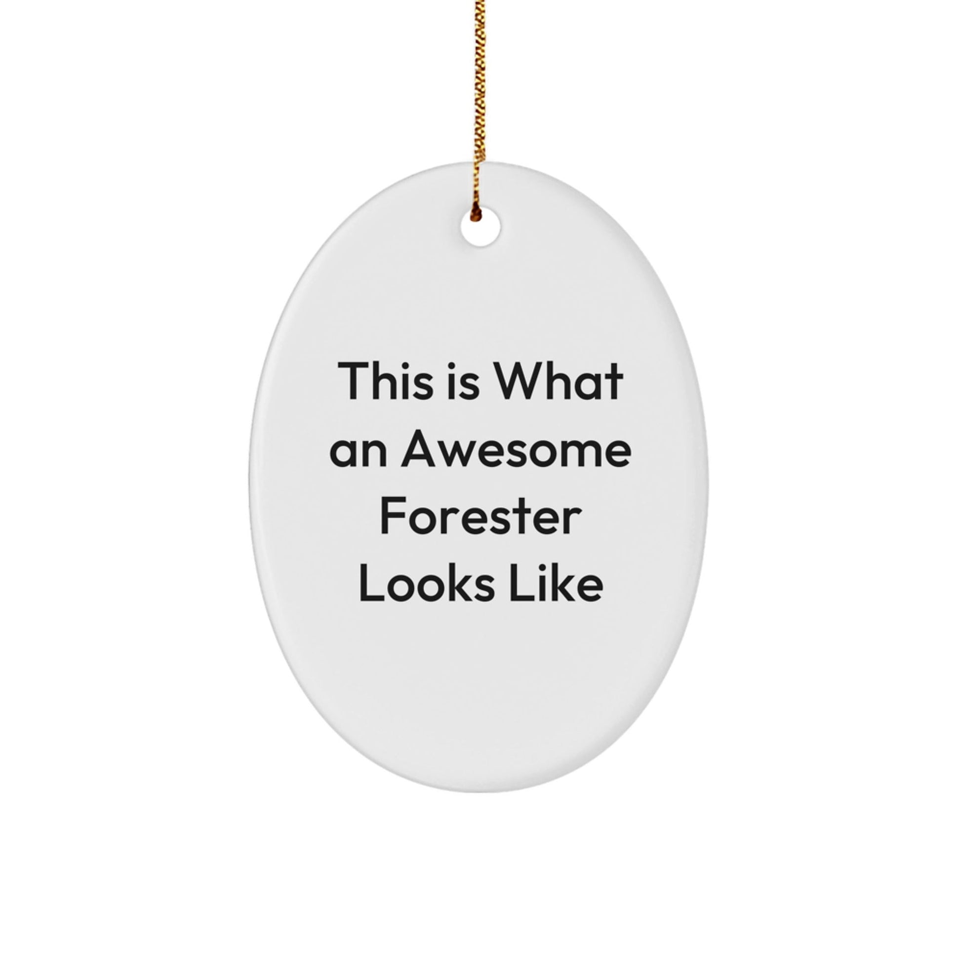 Funny Forester Gifts - This Is What An Awesome Forester Looks Like Oval Ornament for Men, Women, Friends, Coworkers, or Family, Christmas Unique Gifts from Friends, Coworkers, or Family - The Buy Boom