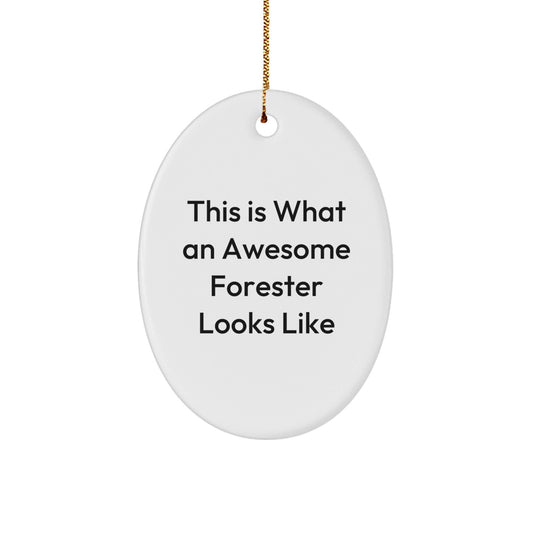 Funny Forester Gifts - This Is What An Awesome Forester Looks Like Oval Ornament for Men, Women, Friends, Coworkers, or Family, Christmas Unique Gifts from Friends, Coworkers, or Family - The Buy Boom