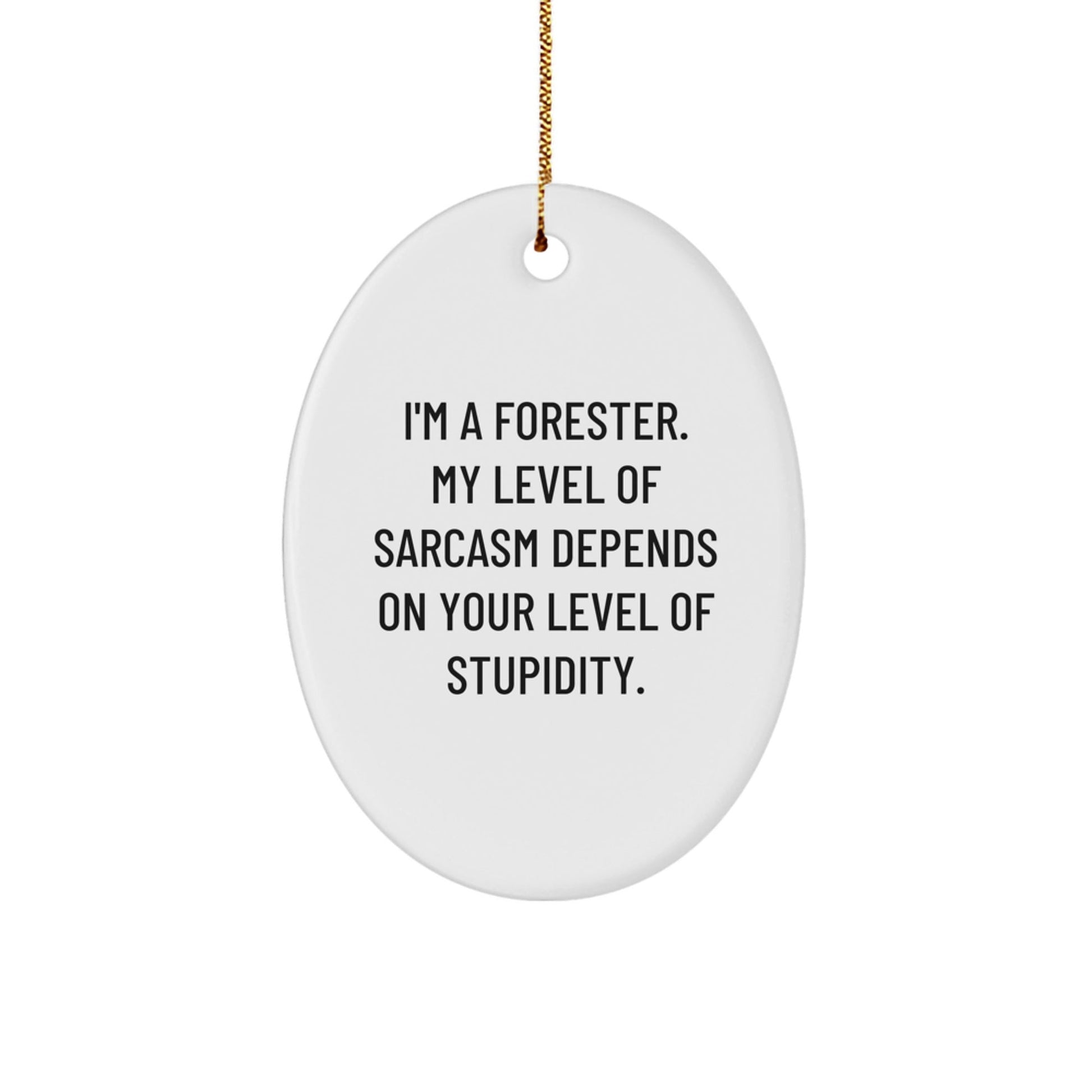 Funny Forester Oval Ornament, Gift for Forester Men, Unique Christmas Unique Gifts from Friends to Family - The Buy Boom
