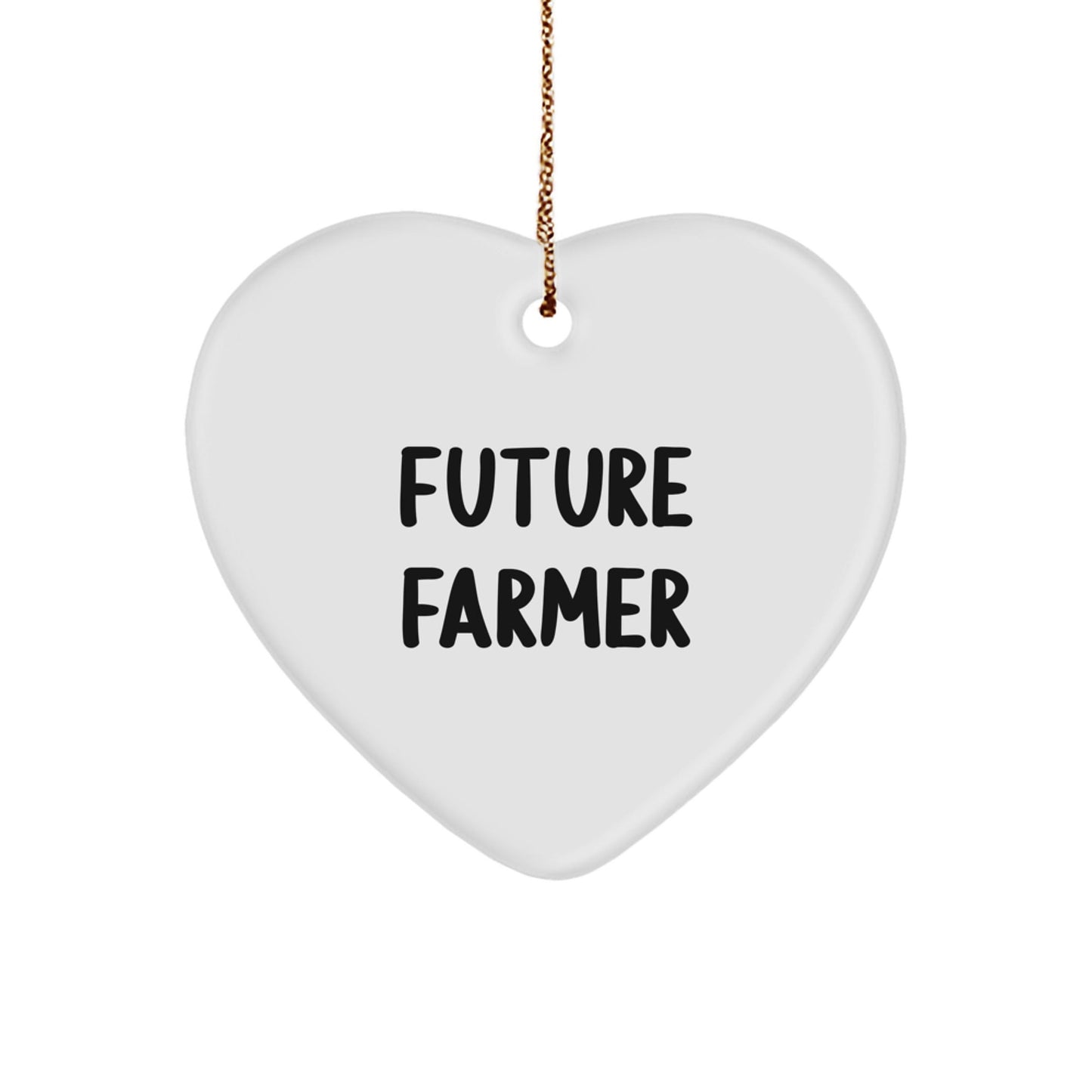 Funny Future Farmer Gifts, Heart Ornament Quote for Farmers, Christmas Unique Gifts from Friends - The Buy Boom