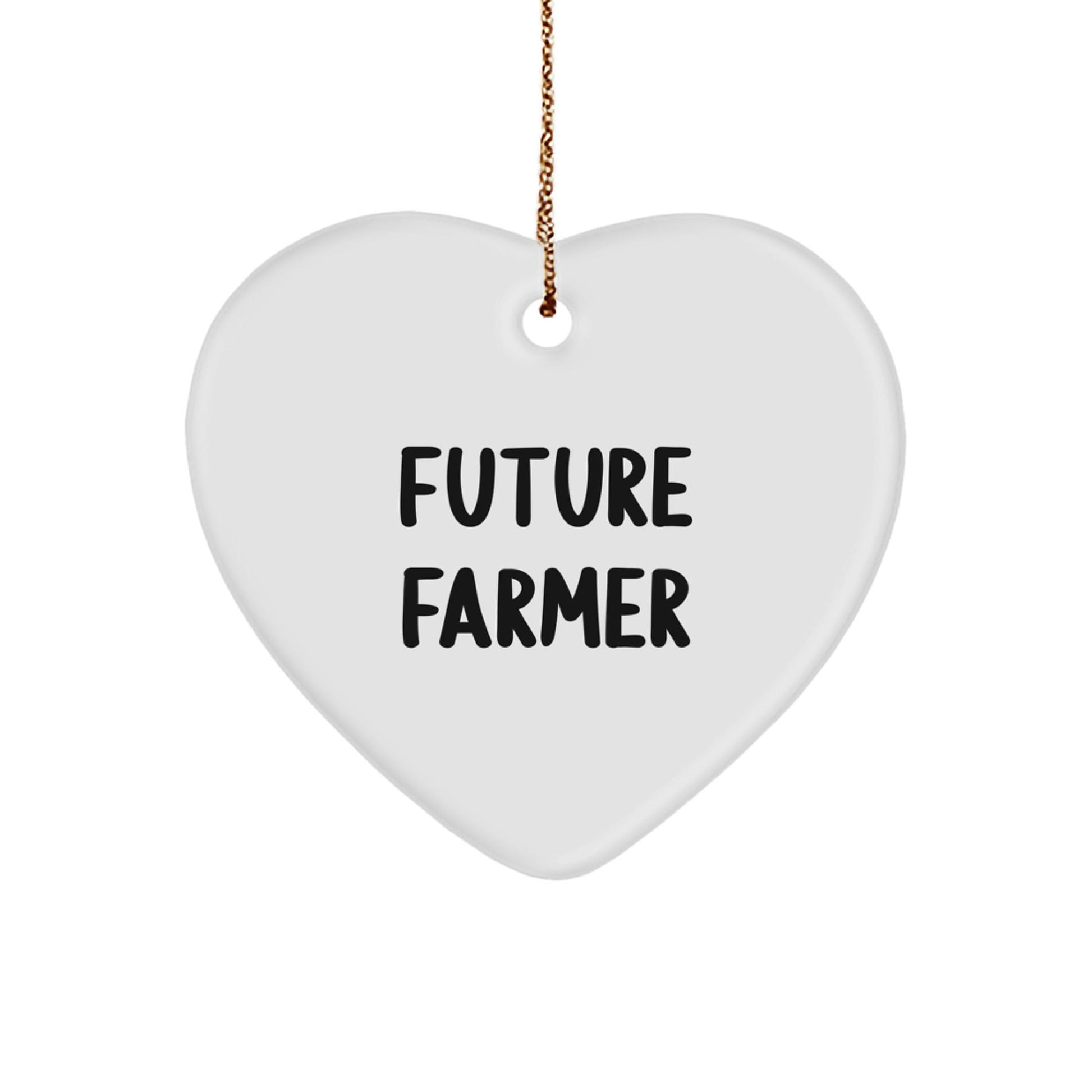 Funny Future Farmer Gifts, Heart Ornament Quote for Farmers, Christmas Unique Gifts from Friends - The Buy Boom