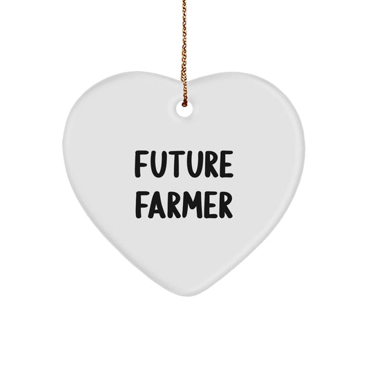 Funny Future Farmer Gifts, Heart Ornament Quote for Farmers, Christmas Unique Gifts from Friends - The Buy Boom
