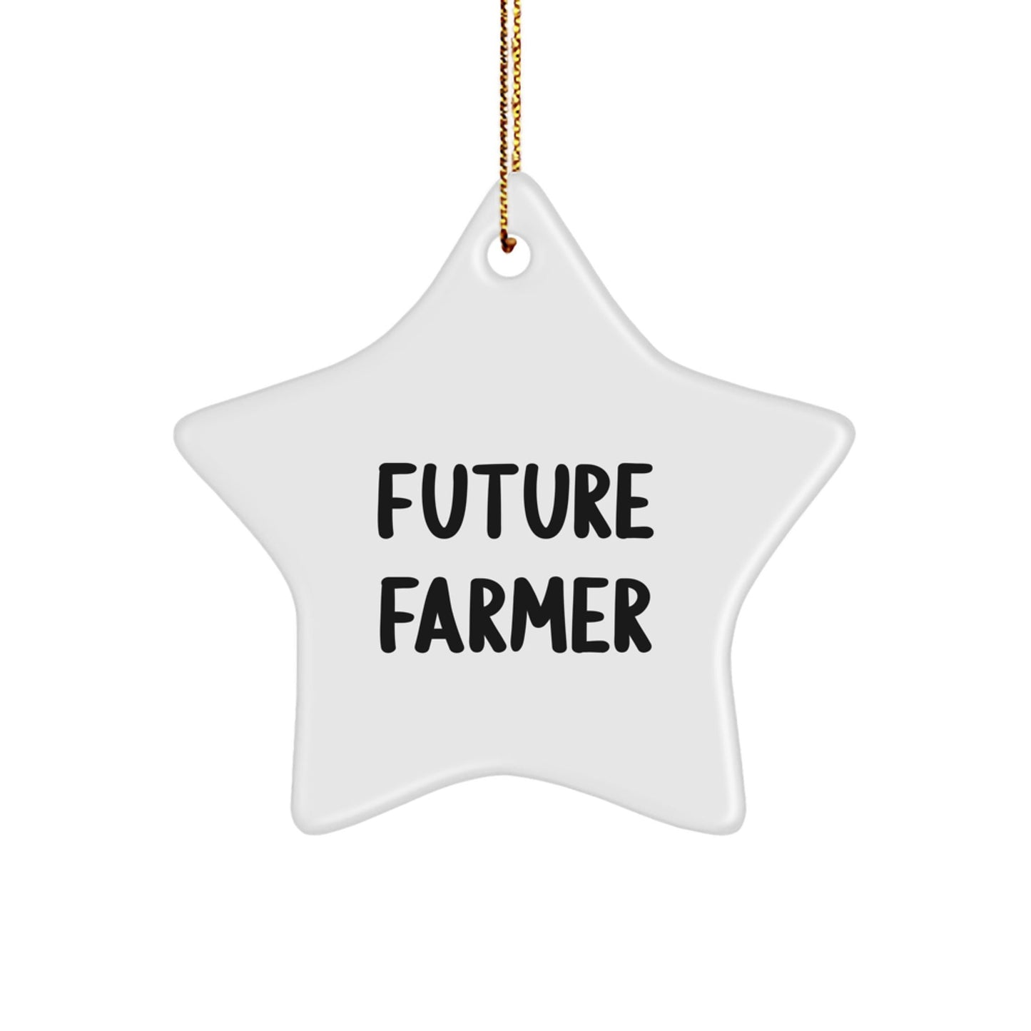 Funny Future Farmer Star Ornament Gifts from Men to Family, Christmas Unique Gifts for Farmer Friends, Inspirational Star Decoration - The Buy Boom