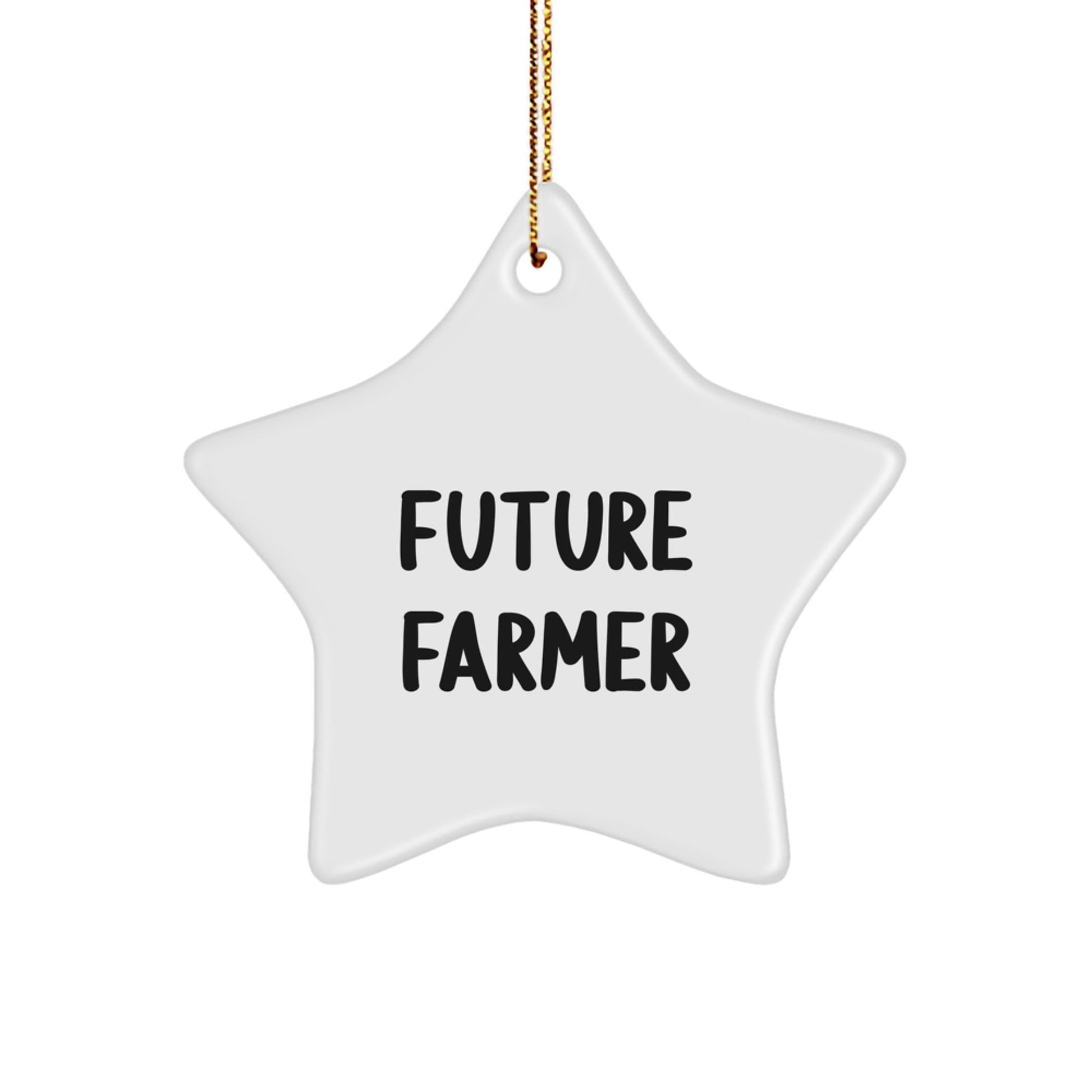 Funny Future Farmer Star Ornament Gifts from Men to Family, Christmas Unique Gifts for Farmer Friends, Inspirational Star Decoration - The Buy Boom