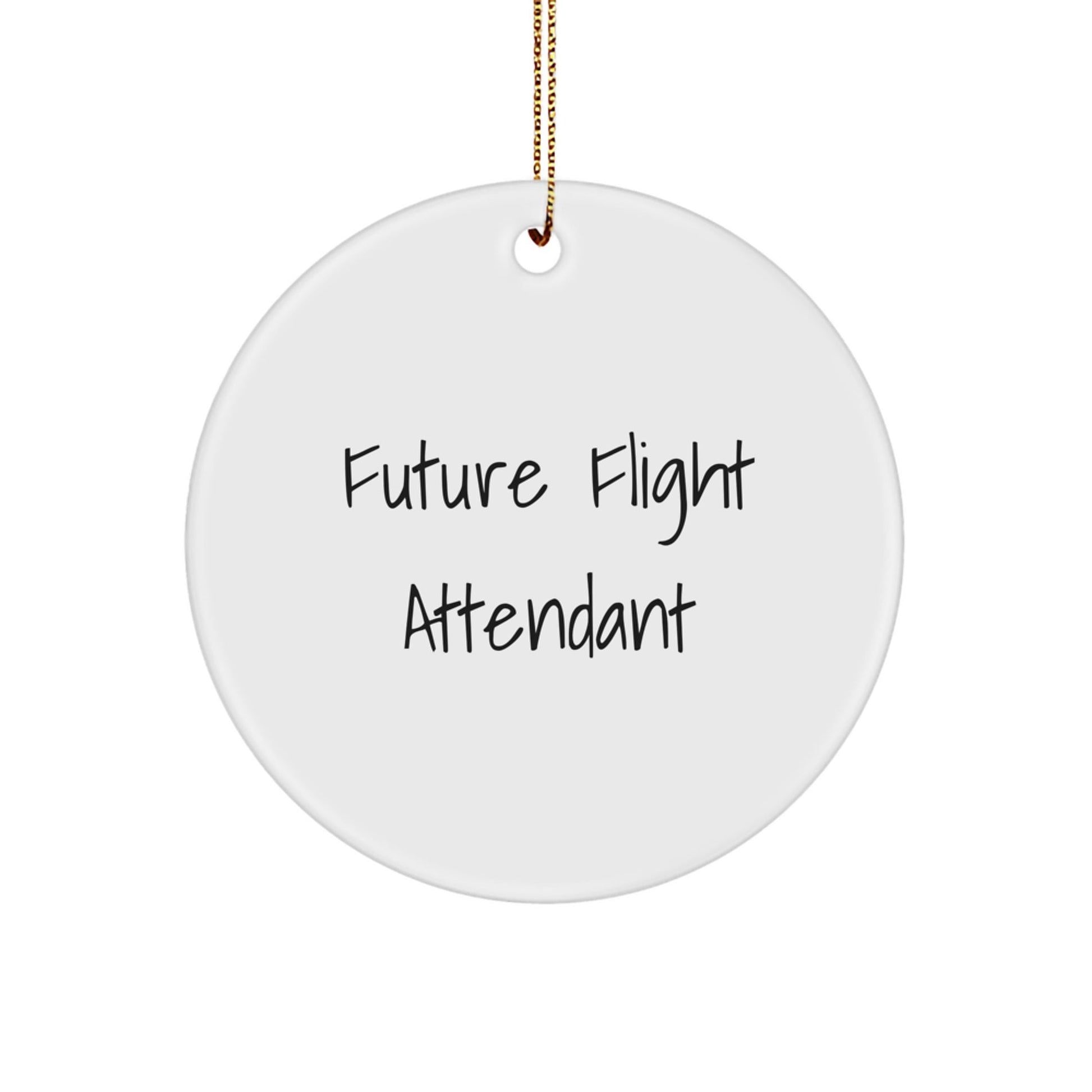 Funny Future Flight Attendant Christmas Circle Ornament Gifts from Friends to Flight Attendants - The Buy Boom