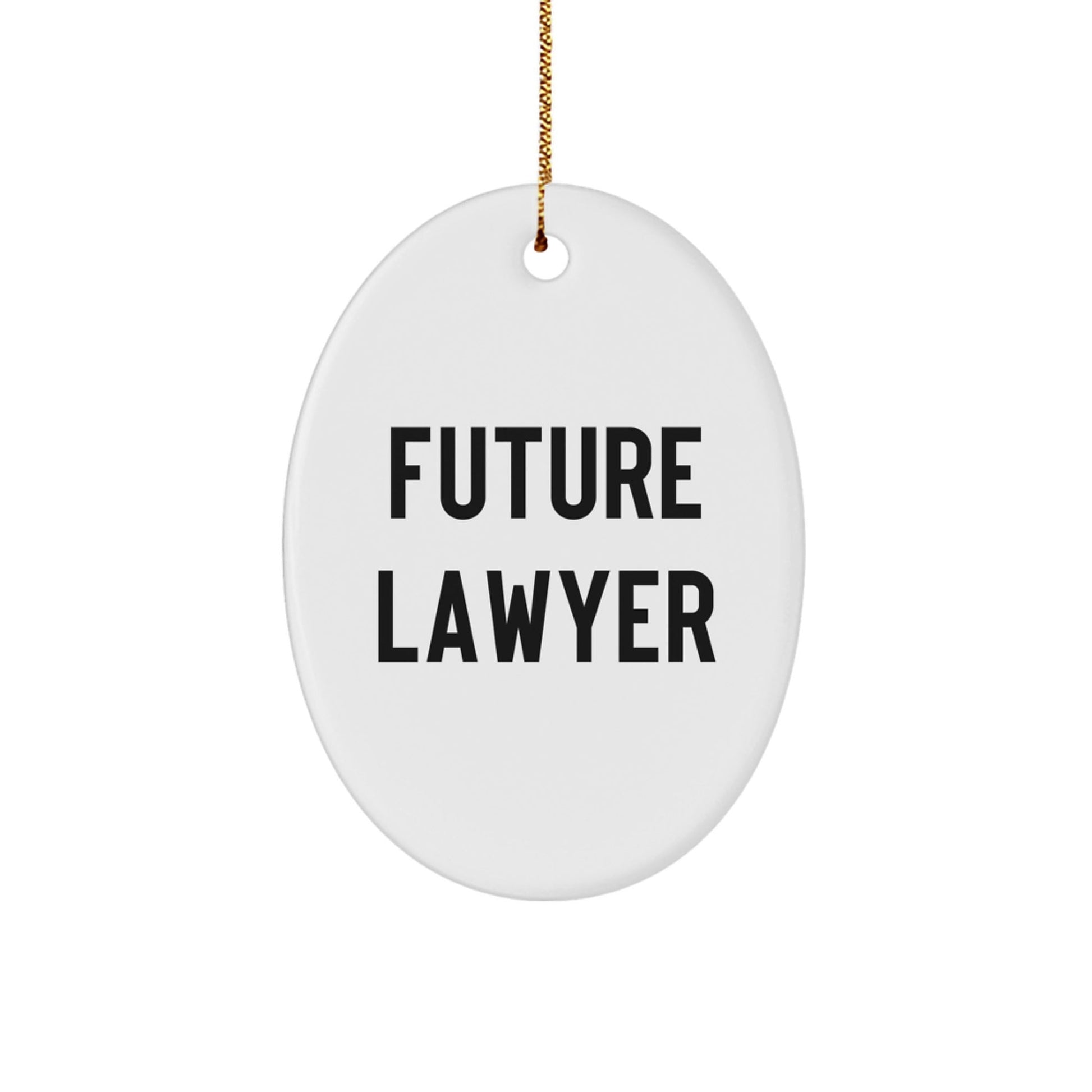 Funny Future Lawyer Christmas Oval Ornament Gifts from Family to Friends - The Buy Boom