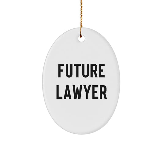 Funny Future Lawyer Christmas Oval Ornament Gifts from Family to Friends - The Buy Boom