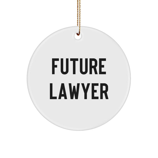 Funny Future Lawyer Circle Ornament Gifts from Friends for Lawyer, 'Future Lawyer' Quote, White, Christmas Unique Gifts - The Buy Boom