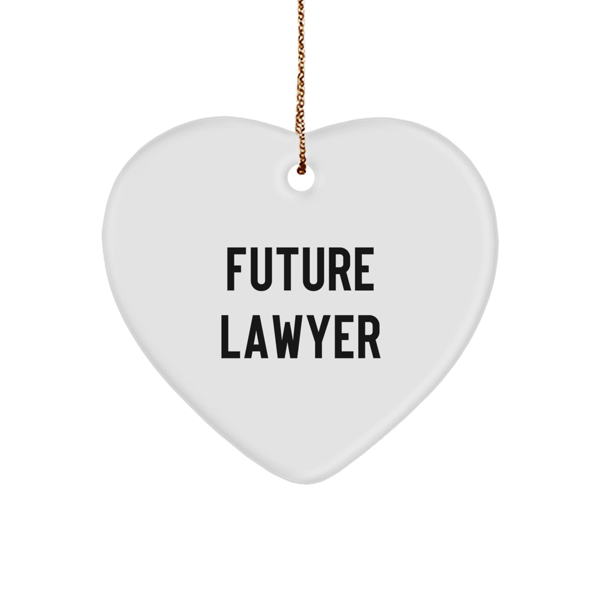 Funny Future Lawyer Quote Heart Ornament, Gifts from Family to Lawyer, Christmas Unique Gifts for Lawyer - The Buy Boom