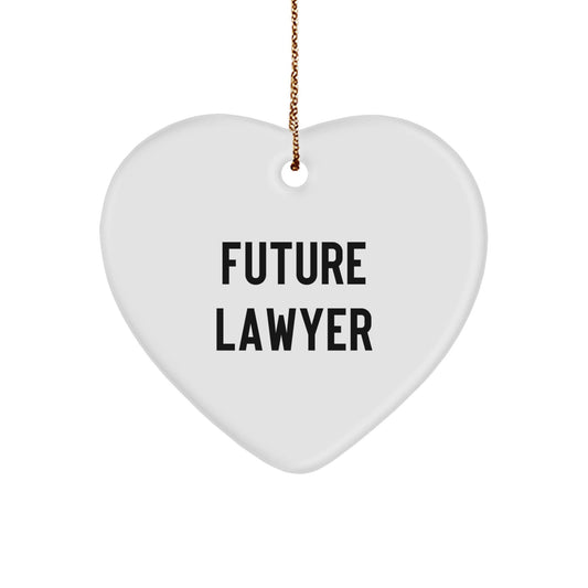 Funny Future Lawyer Quote Heart Ornament, Gifts from Family to Lawyer, Christmas Unique Gifts for Lawyer - The Buy Boom