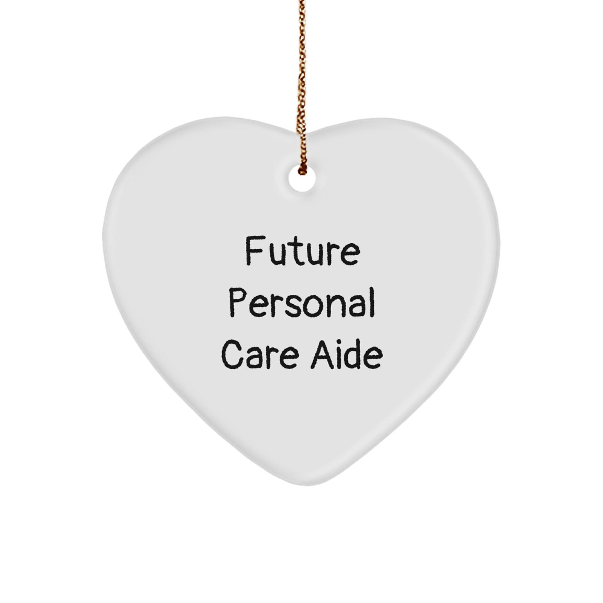 Funny Future Personal Care Aide Gifts from Men to Personal Care Aide for Christmas - Heart Ornament with Inspirational Quote, 'You're the Future of Personal Care' - The Buy Boom
