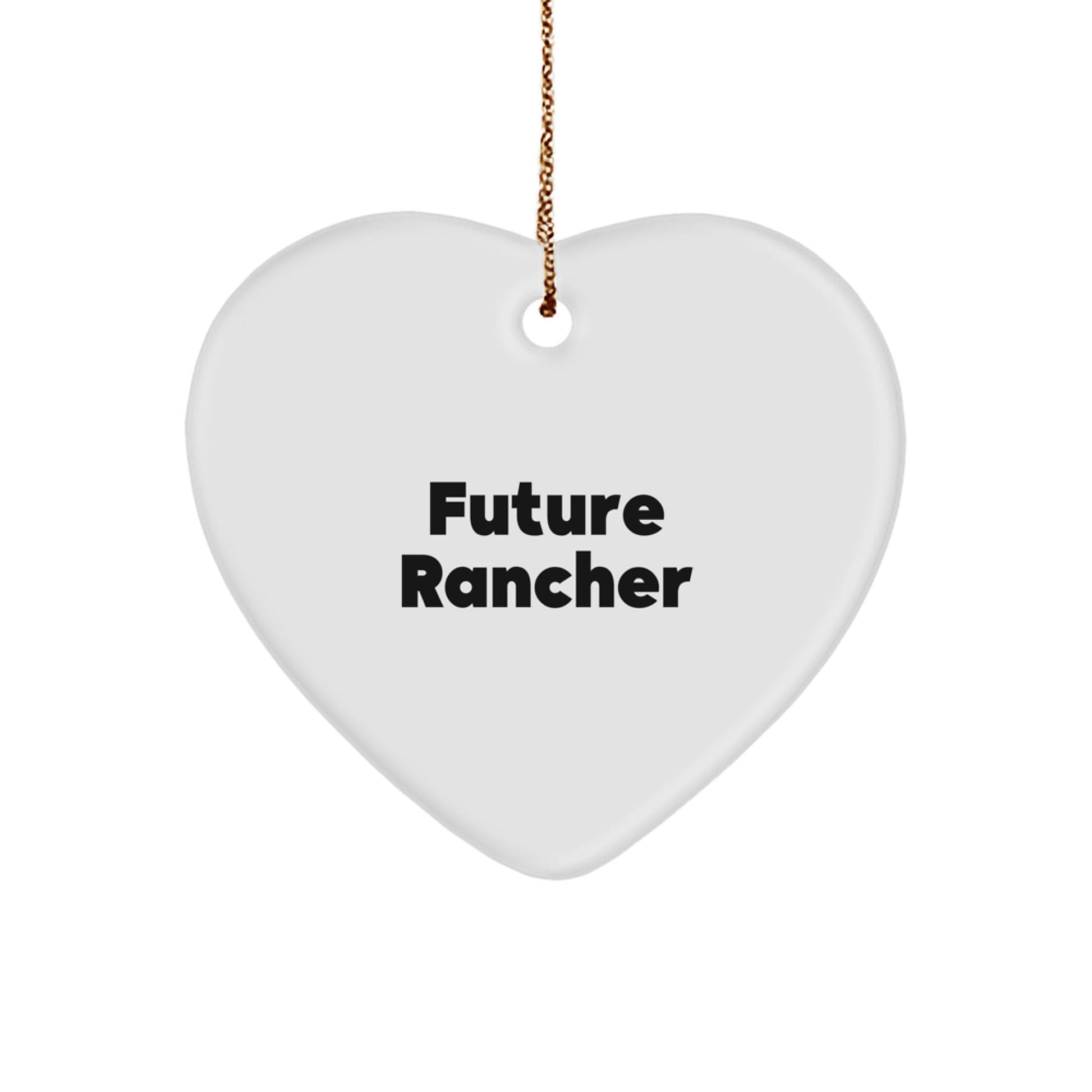 Funny Future Rancher Heart Ornament Gifts from Men to Family for Christmas Unique - The Buy Boom