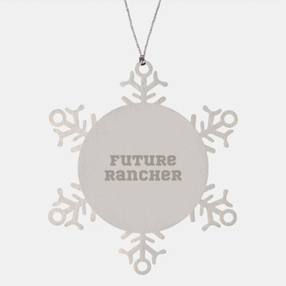 Funny Future Rancher Snowflake Ornament Gifts from Men to Future Rancher, Christmas Unique Gifts for Rancher, Stainless Steel Snowflake Ornament - The Buy Boom
