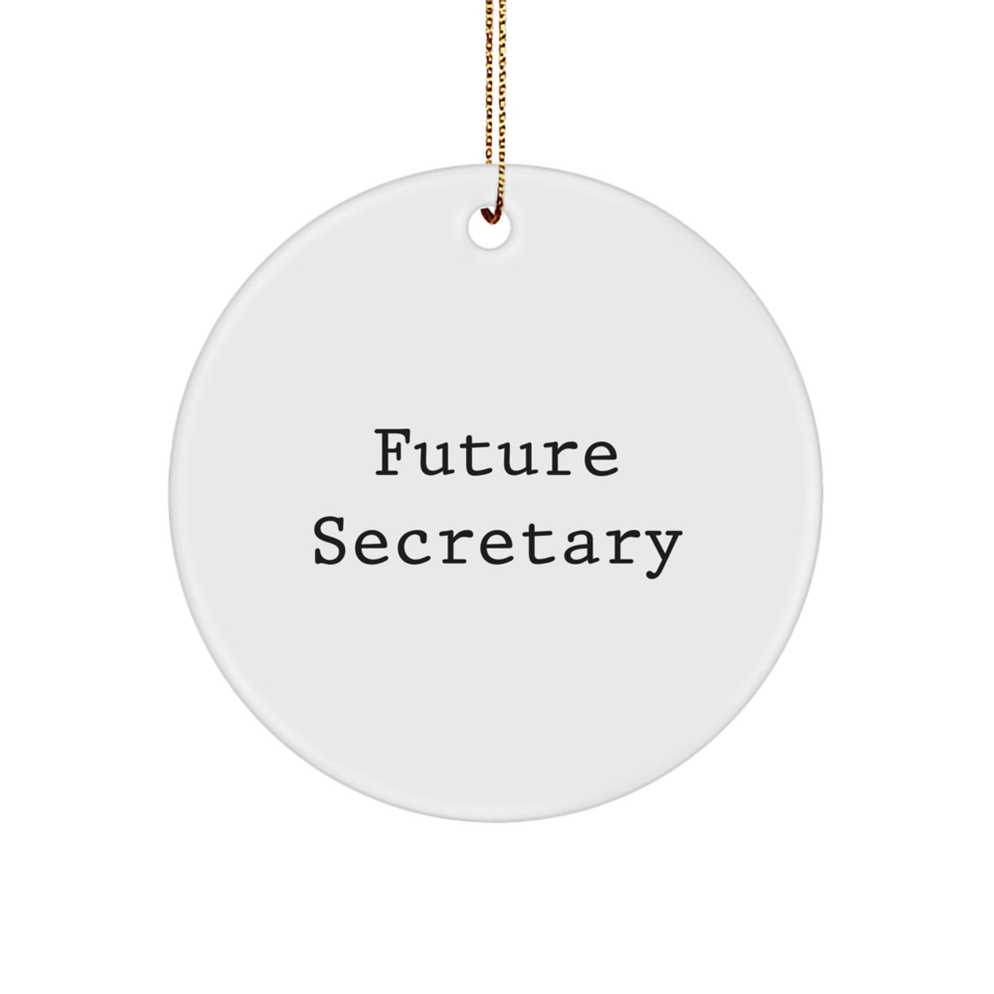 Funny Future Secretary Circle Ornament, Secretary Gifts for Christmas, Gifts from Men to Secretary, Handmade Circle Ornament with Inspirational Quote - The Buy Boom
