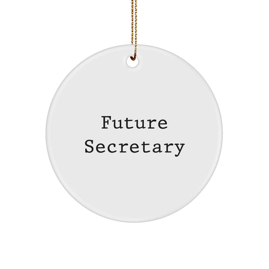 Funny Future Secretary Circle Ornament, Secretary Gifts for Christmas, Gifts from Men to Secretary, Handmade Circle Ornament with Inspirational Quote - The Buy Boom
