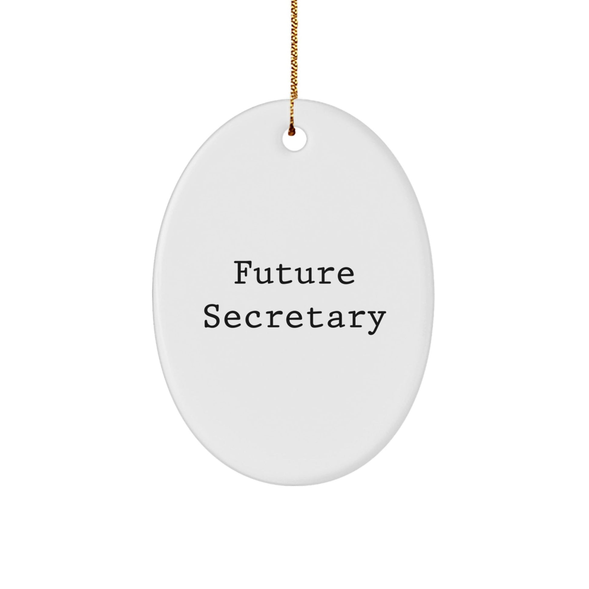 Funny Future Secretary Oval Ornament Gifts from Friends, Cute Christmas Unique Gift for Secretary, Secretary Gifts for Her, Unique Oval Ornament with Inspirational Quote - The Buy Boom