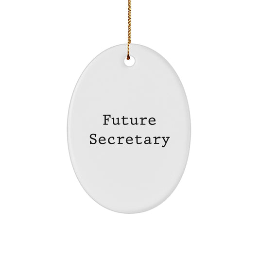 Funny Future Secretary Oval Ornament Gifts from Friends, Cute Christmas Unique Gift for Secretary, Secretary Gifts for Her, Unique Oval Ornament with Inspirational Quote - The Buy Boom