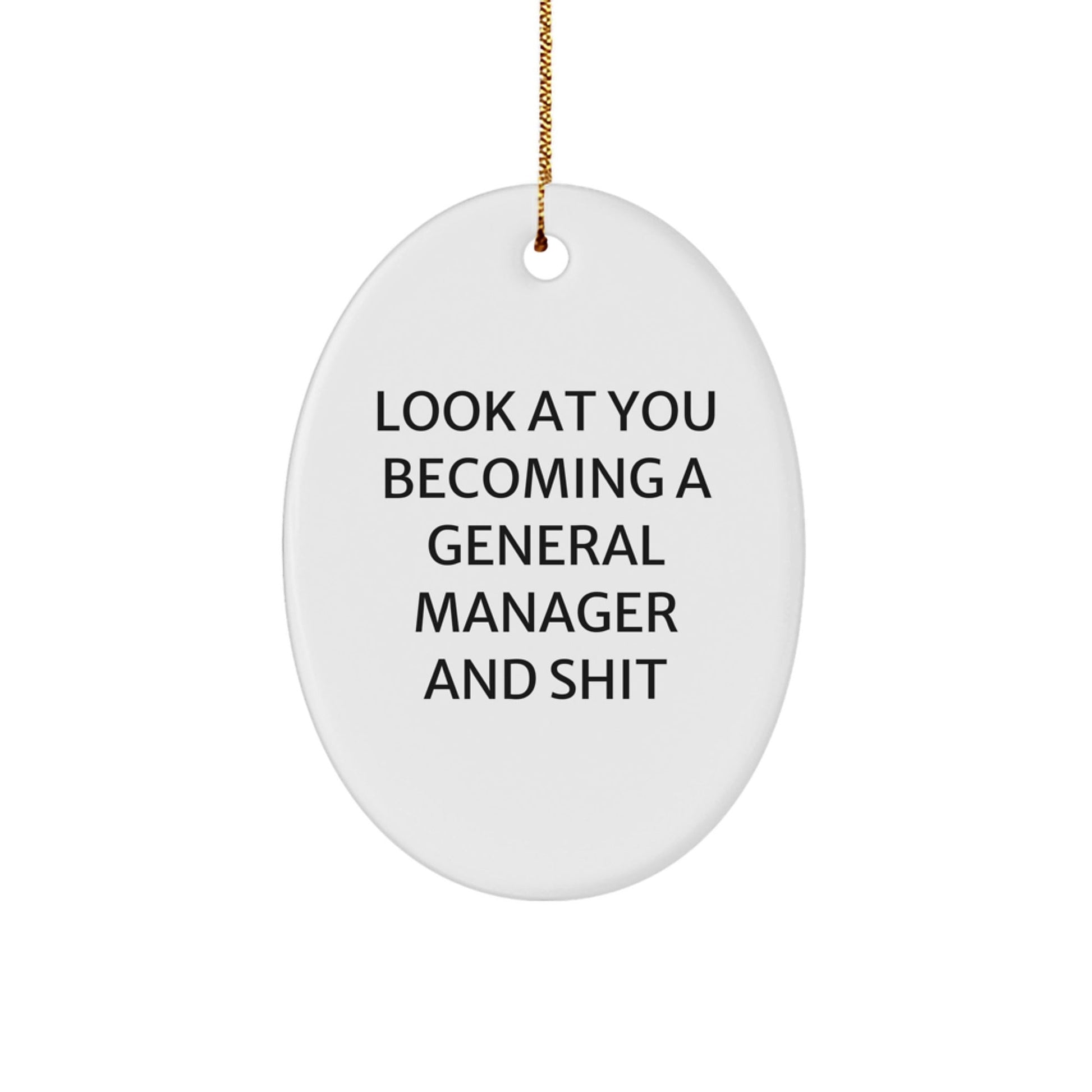 Funny General Manager Oval Ornament Gifts from Friends for Men - Look At You Becoming A General Manager And Shit, Oval Christmas Unique Gifts - The Buy Boom